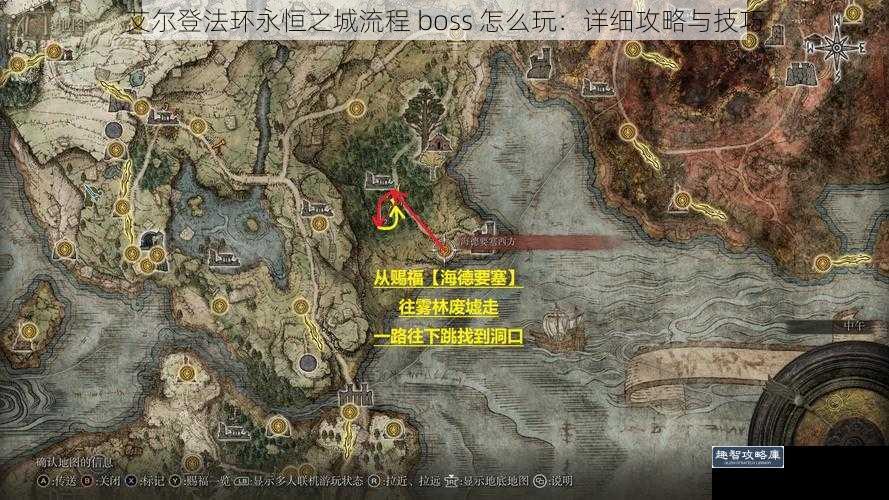 艾尔登法环永恒之城流程 boss 怎么玩：详细攻略与技巧