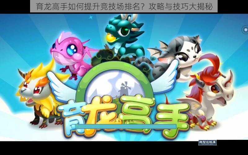 育龙高手如何提升竞技场排名？攻略与技巧大揭秘