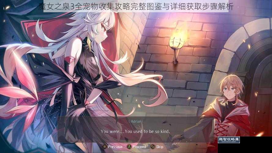 魔女之泉3全宠物收集攻略完整图鉴与详细获取步骤解析