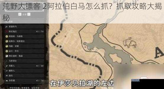 荒野大镖客 2阿拉伯白马怎么抓？抓取攻略大揭秘