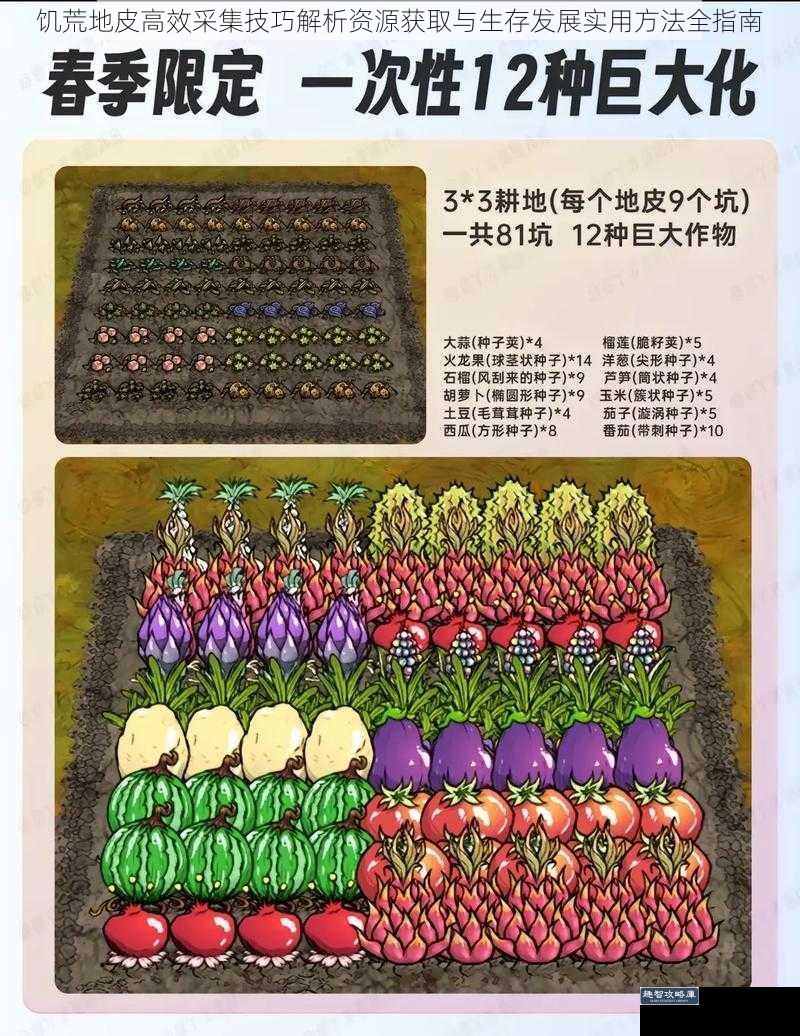 饥荒地皮高效采集技巧解析资源获取与生存发展实用方法全指南