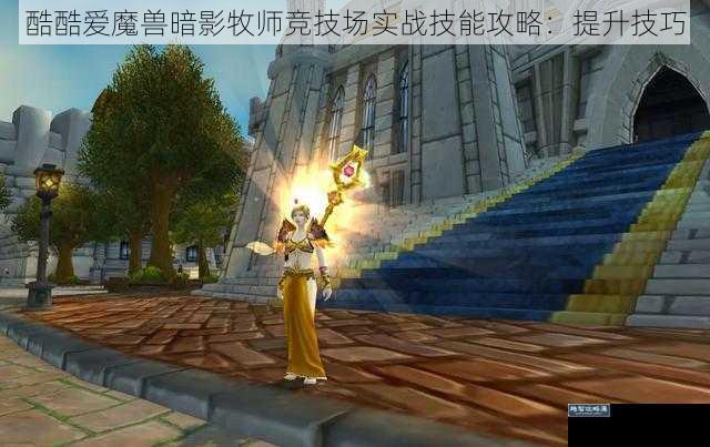 酷酷爱魔兽暗影牧师竞技场实战技能攻略：提升技巧