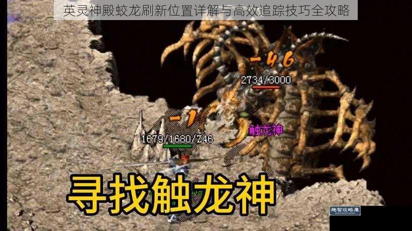 英灵神殿蛟龙刷新位置详解与高效追踪技巧全攻略