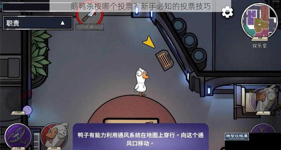 鹅鸭杀按哪个投票？新手必知的投票技巧