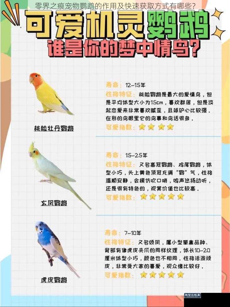 零界之痕宠物鹦鹉的作用及快速获取方式有哪些？