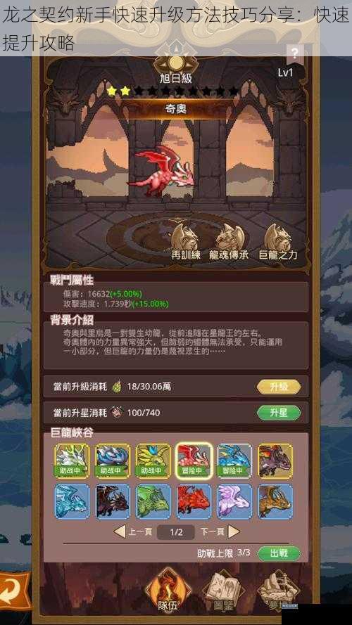 龙之契约新手快速升级方法技巧分享：快速提升攻略