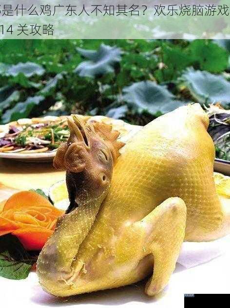 那是什么鸡广东人不知其名？欢乐烧脑游戏第 114 关攻略