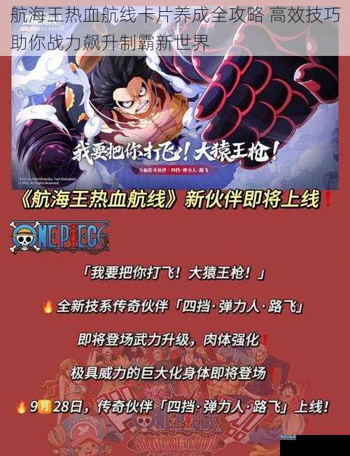 航海王热血航线卡片养成全攻略 高效技巧助你战力飙升制霸新世界