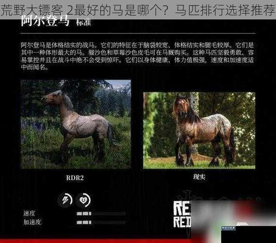 荒野大镖客 2最好的马是哪个？马匹排行选择推荐