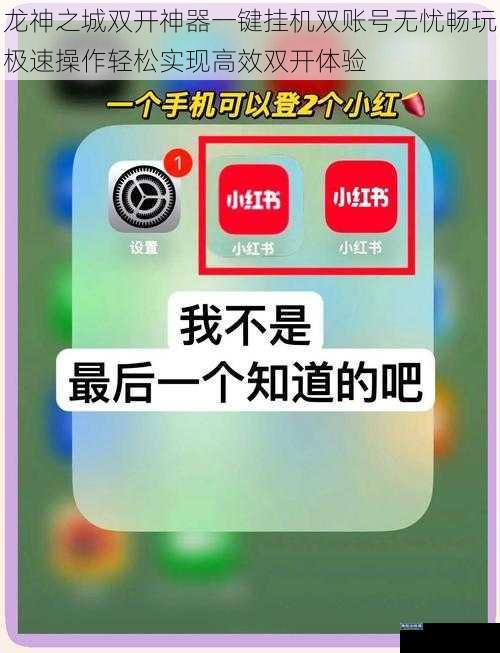 龙神之城双开神器一键挂机双账号无忧畅玩极速操作轻松实现高效双开体验