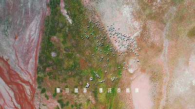 翻滚瞬间定格人类百态动态集锦精彩镜头预览震撼首发