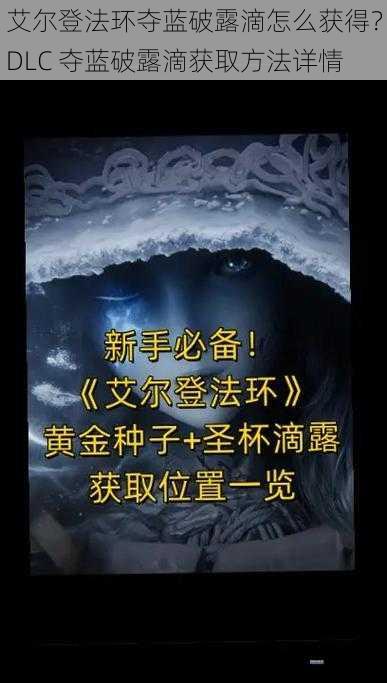 艾尔登法环夺蓝破露滴怎么获得？DLC 夺蓝破露滴获取方法详情